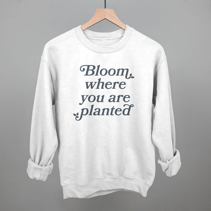 Bloom Where You Are Planted