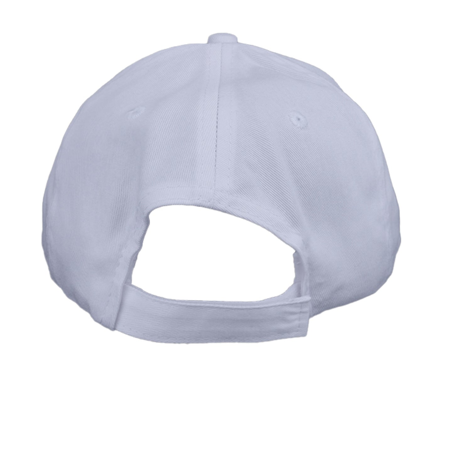 Silver - CP80 - BACK